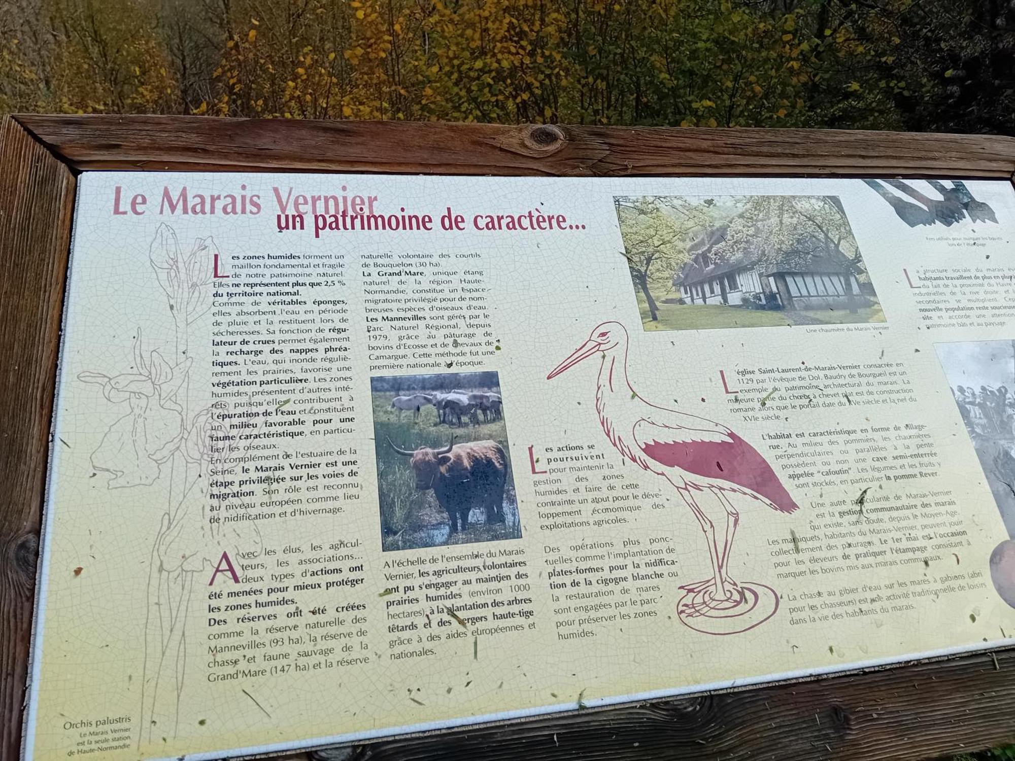 Gite Du Roy Marais-Vernier Exteriér fotografie